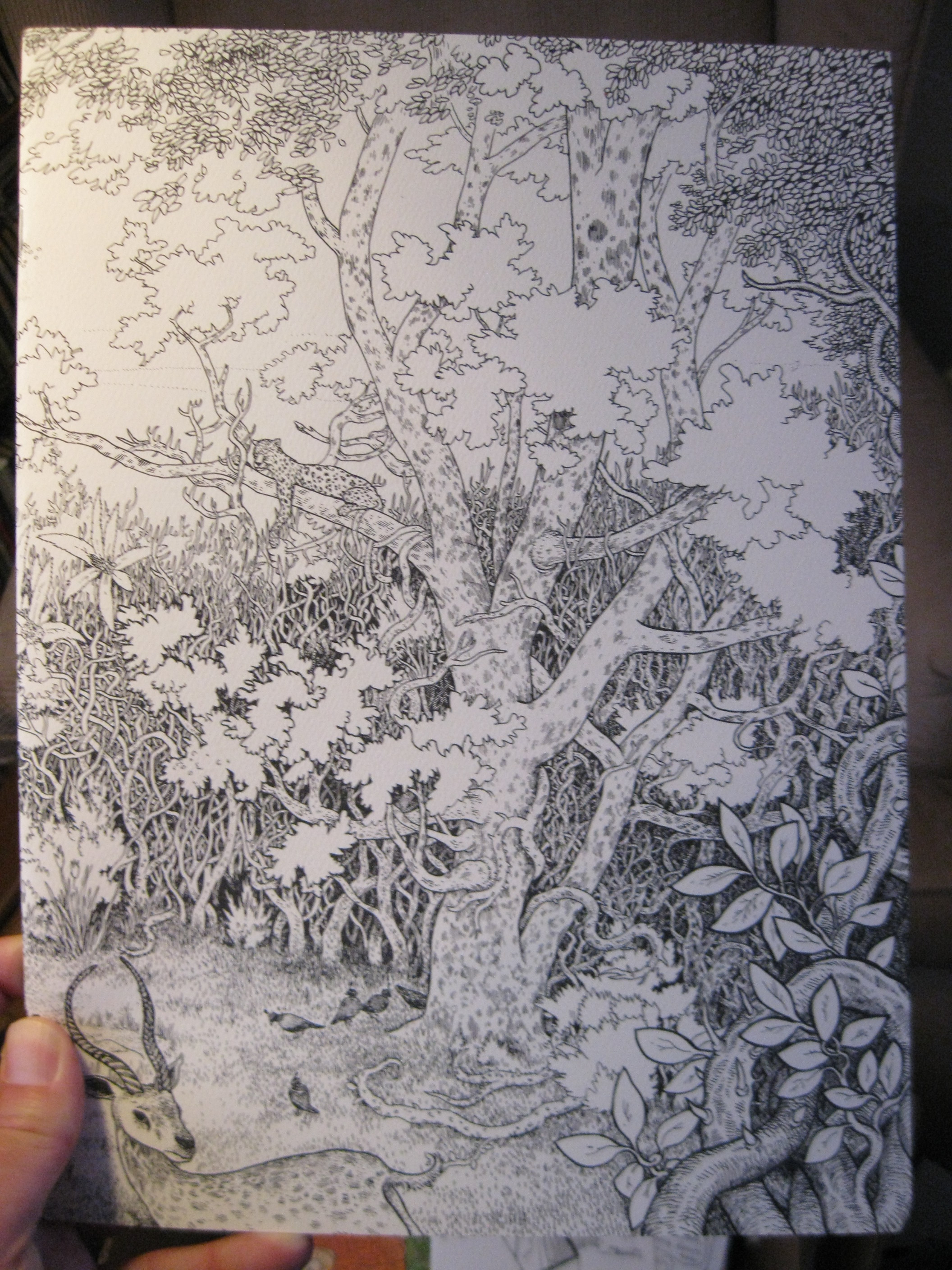 GOD AND THE DEVIL AT WAR IN THE GARDEN by Anders Nilsen