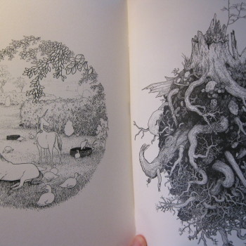 GOD AND THE DEVIL AT WAR IN THE GARDEN by Anders Nilsen - Image 2