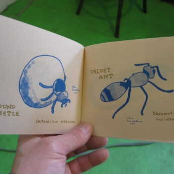 A SAW GUIDE TO GAINESVILLE WILDLIFE by John Porcellino (Second Edition) - Image 3
