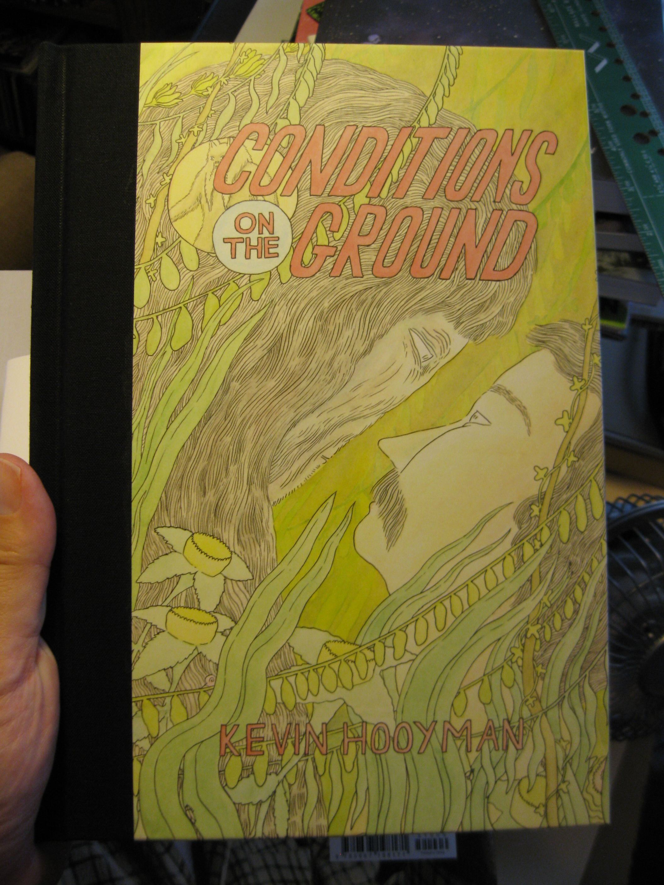 CONDITIONS ON THE GROUND by Kevin Hooyman