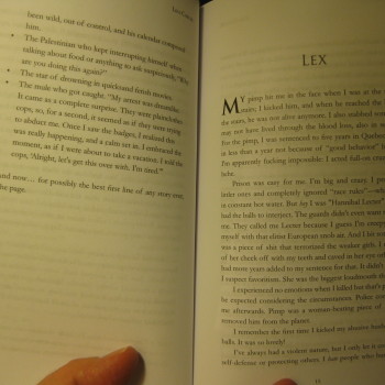 25 LIVES by Lisa Carver - Image 2