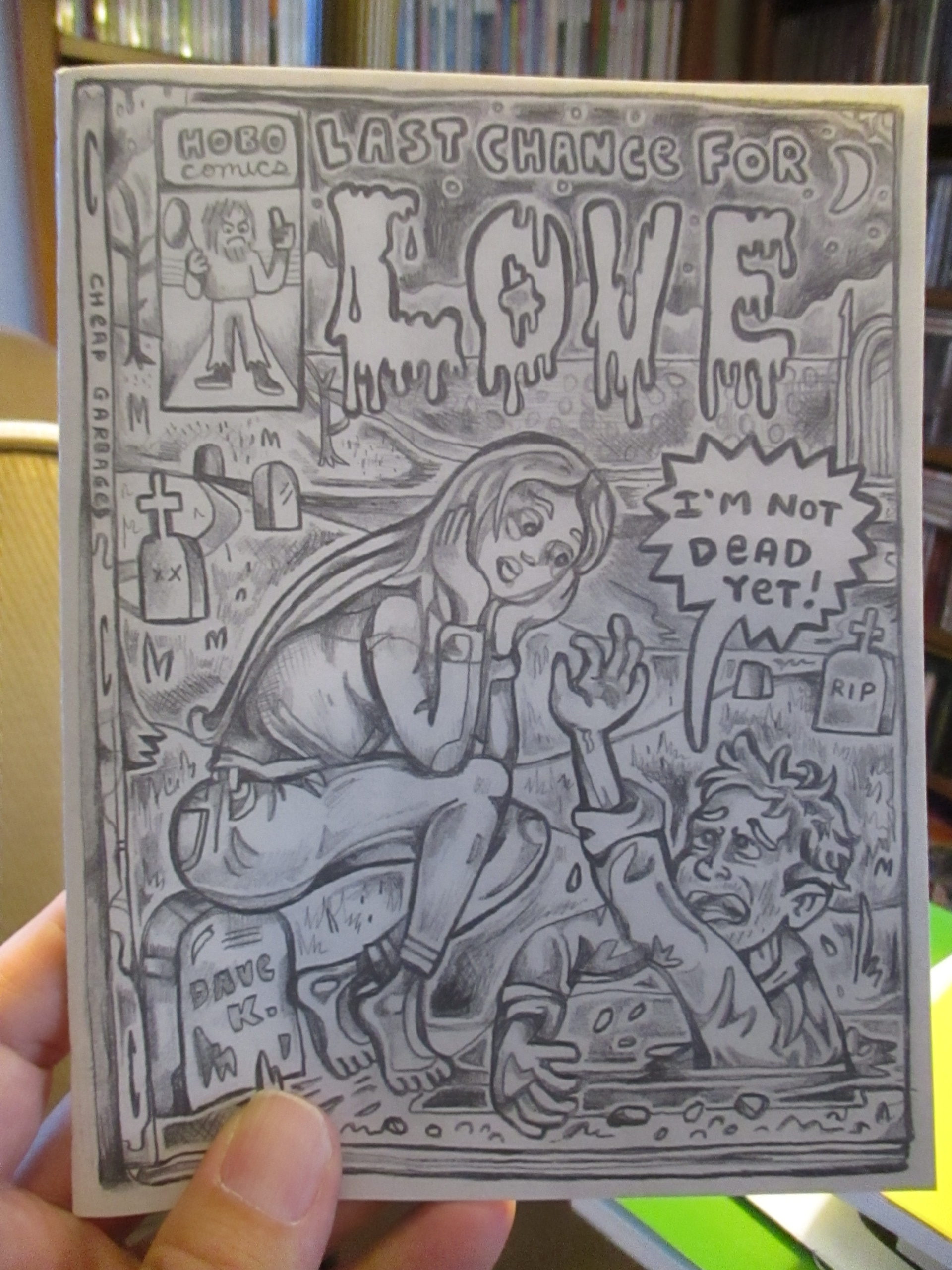 LAST CHANCE FOR LOVE by Dave Kiersh