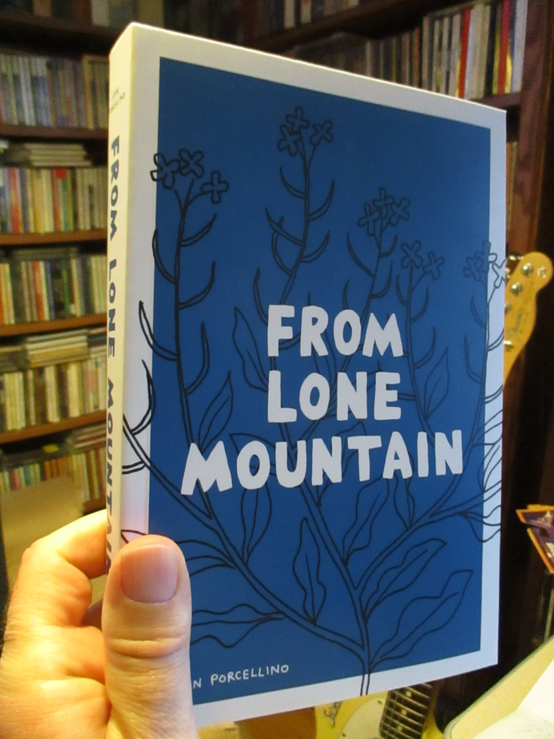 FROM LONE MOUNTAIN by John Porcellino