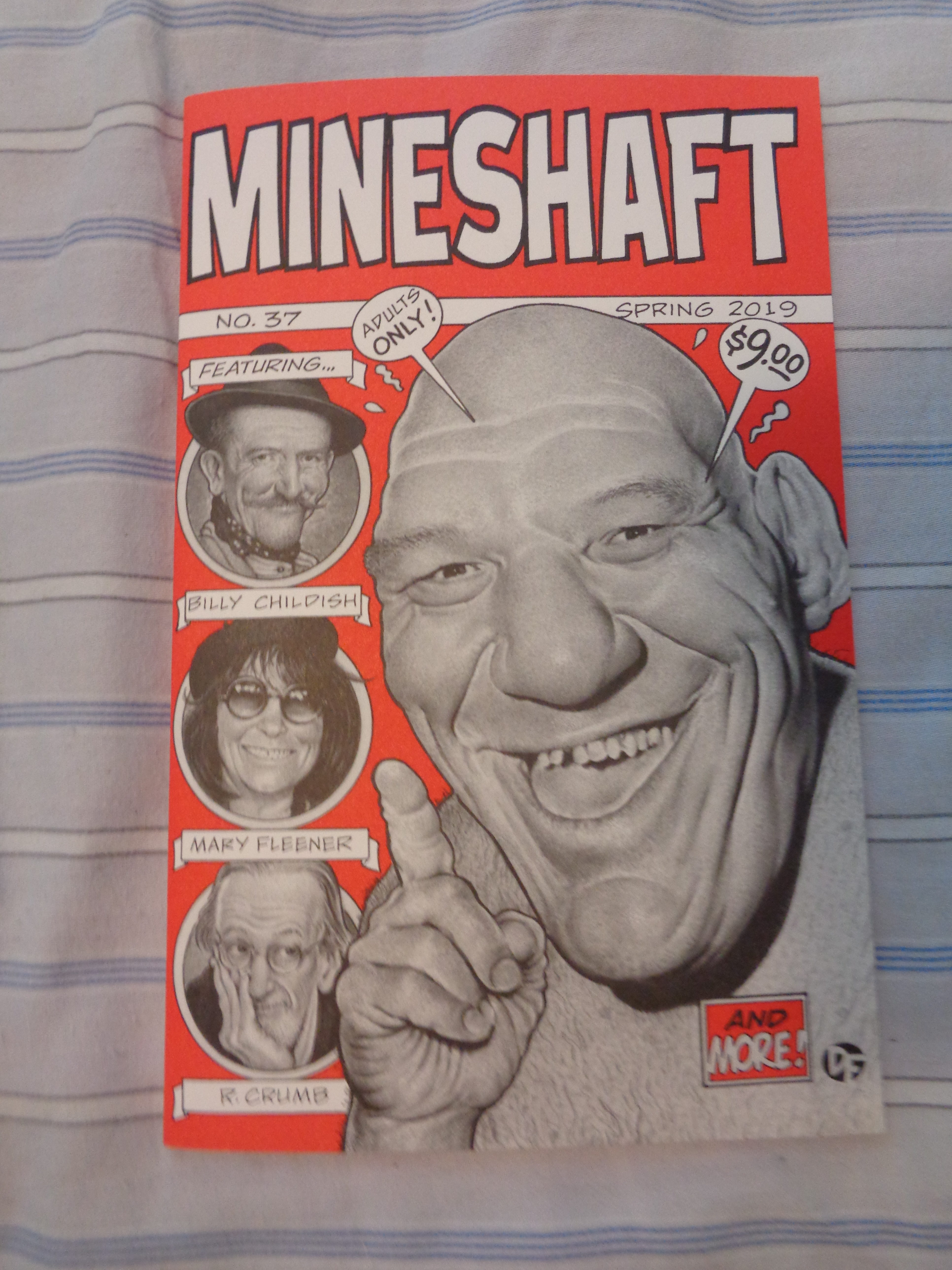 MINESHAFT #37 ed. by Everett Rand and Gioia Palmieri