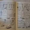 MY DOG IVY: A July Diary by Gabrielle Bell - Image 3