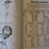 HOO-HAH! MAURICE KETTEN - America's Forgotten Genius, ed. by Ron Evry and Bruce Simon - Image 3