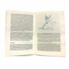 CHICAGO, COMICS and LIFE: 1999-2012 Part One by Anders Nilsen - Image 2