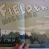 FIELDER #2 by Kevin Huizenga - Image 3