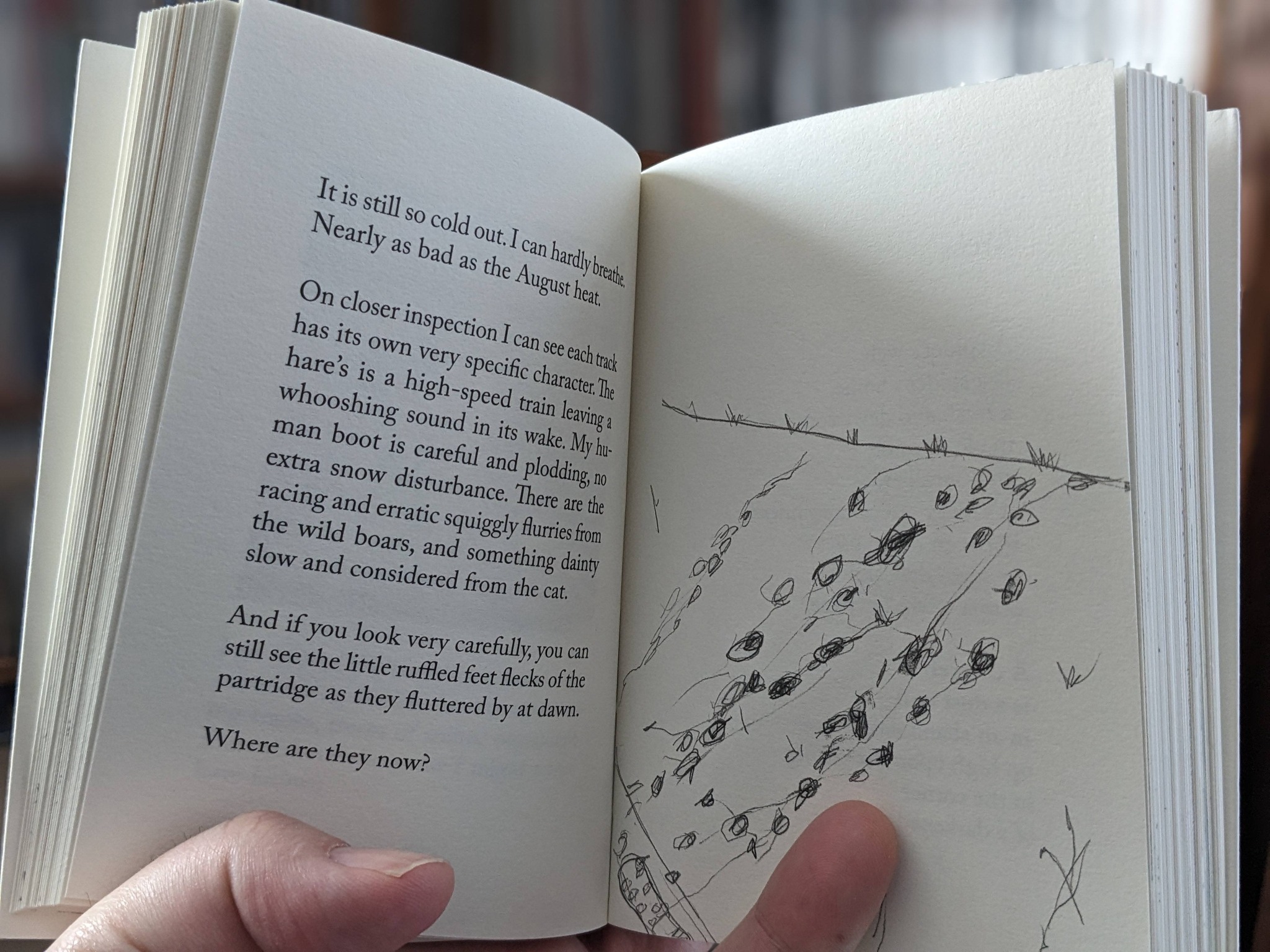 GREENWRITING by Katy Bentall - Image 3